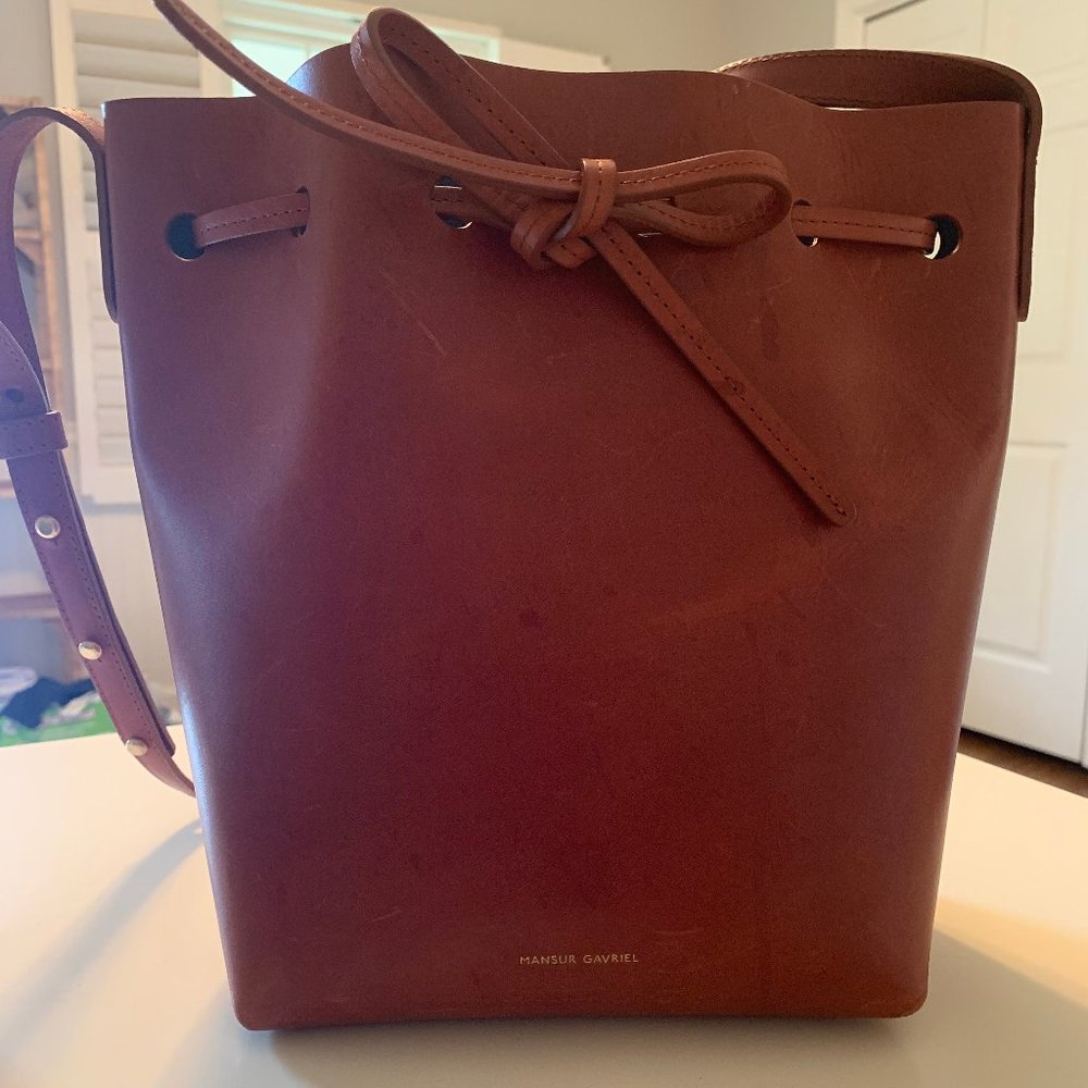 Mansur Gavriel Mini Bucket Bag